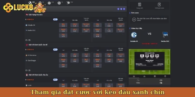 tham-gia-dat-cuoc-voi-keo-dau-xanh-chin