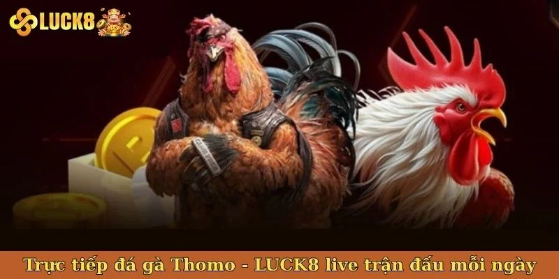 truc-tiep-da-ga-thomo-bia